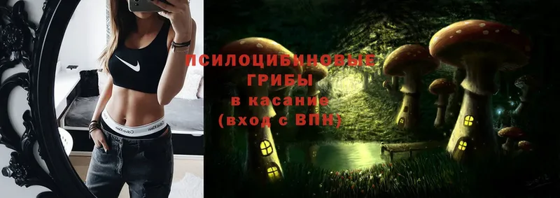 Галлюциногенные грибы Cubensis  ссылка на мегу вход  Барнаул  даркнет сайт 